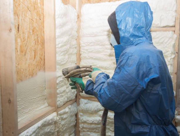 Best Commercial Insulation Services  in Smyrna, GA